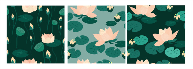 Set of three seamless patterns with lotus flowers