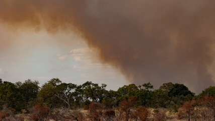 veld fire , smoke in the sky