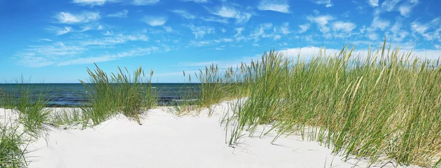 Poster Im Rahmen Sandstrand mit Dünen an der Ostsee - Ostseeküste mit Strand und Meer im Sommer © ExQuisine