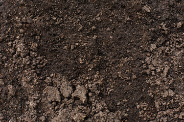 Soil backdrop. Texture of ground with clumps of earth, dirt and stones. Early spring time soil background with copy space