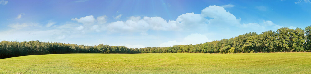 Weide im Sommer am Waldrand - Wiese mit Bäume und Sonnenstrahlen - Panorama