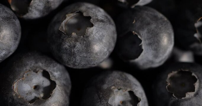 Fresh Blueberry Background. Texture Healthy Food Berries Close-up. Blueberry Antioxidant Organic Food, Healthy Eating and Nutrition. Vegan Vegetarian Healthy Eating. Macro Texture Blueberry Berries.