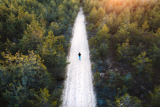 Aerial view of person walking on sandy road in the middle of young forest during golden Spring sunset in Uzusaliai, Kaunas, Lithuania.