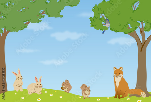 森の動物たち フレーム 背景イラスト Wall Mural Wallpaper Murals Harako