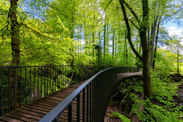 Felsenmeer Hemer Sauerland Park Brücke Karst Frühling Steg Bäume Buchen Wald Attraktion Schlucht...