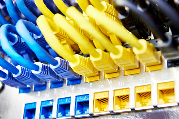 Fototapeta premium Network cables with connectors on switch