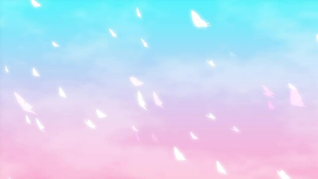 Lots of butterfly loop background material