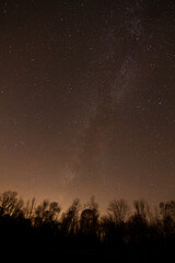 Milky Way over a dark forest