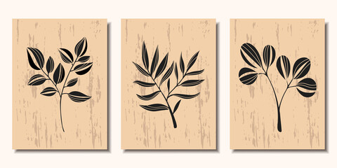 Collection of modern posters. Various branches of plants. Minimalism. Vector illustration.