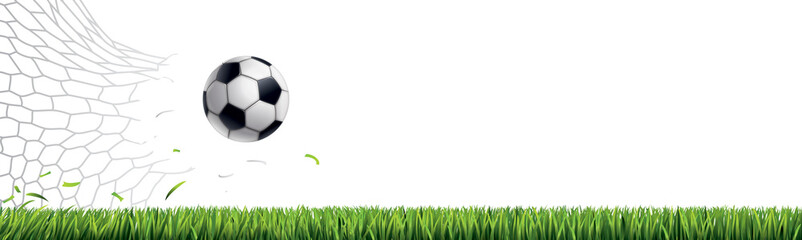 FILET D&Eacute;CHIR&Eacute; AVEC BALLON DE FOOTBALL