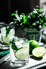 Refreshing mojito cocktail.