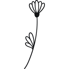 Fototapeta na wymiar Hand-Drawn Flowers
