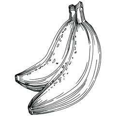 Hand-drawn isolated banans. Vector cartoon illustrations.