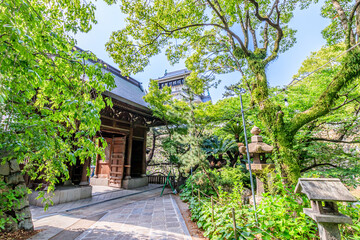 初夏の小倉城と八坂神社　福岡県北九州市　Early summer Kokura castle and Yasaka Shrine Fukuoka-ken Kitakyusyu city