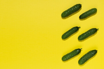Vegetable colorful abstract pattern - green young cucumber with shadow as border on yellow background, top view, copy space.