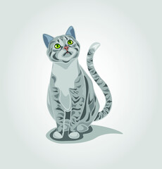 Gray tabby cat dreaming about food.