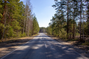 Obraz premium Straight highway between trees. Section of the road in the Kurgan region in Russia
