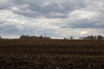 The field is ready for sowing. Field at the beginning of the agricultural season.