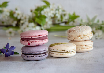 Several colorful macaroon cakes decorated with cherry blossoms on a gray background.