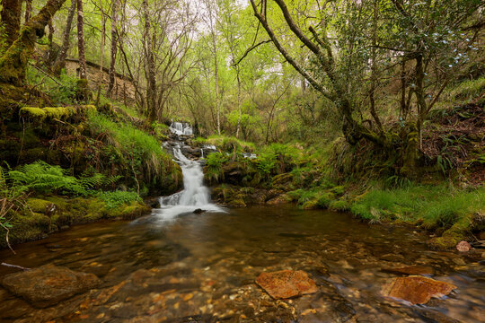 Small waterfall in a forest in the area of Galicia, Spain