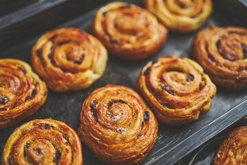 Homemade puff pastry cinnamon rolls with raisins placed on oven iron tray