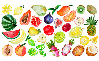 Watercolor fruit collection. Hand-drawn fresh food design elements isolated on a white background.