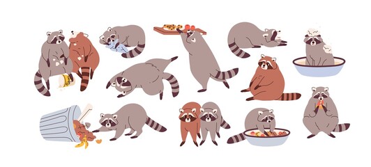 Cute funny raccoons set. Slow lazy racoon characters eating, overeating, sleeping and relaxing. Sluggish sleepy animal with sad face. Colored flat vector illustration isolated on white background - obrazy, fototapety, plakaty