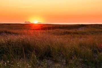Majestic autumn sunset over grassy sand dunes along a coast. A Cruise ship in navigation is visible on horizon.