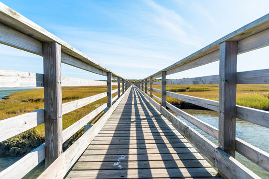 Low Angle View Of A Deserted Fenced Boardwalk Through A Saltwater Marsh On A Clear Autumn Day. Converging Lines. 