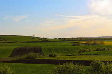 field and blue sky
