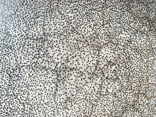 abstract texture background with dots.