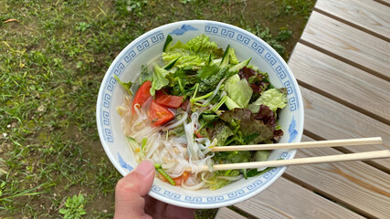 ベトナム料理、フォー(ライスヌードル)にたっぷりの生野菜を入れて縁側でいただきます。エスニック料理/アジアンフード/ヘルシーな食生活。