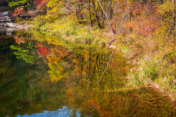 Seoraksan National Park in Autumn, Gangwon, South Korea