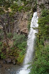 Fototapeta na wymiar Paisagem de cachoeira próxima ao lago Futalaufquen no parque nacional Los Alerces - Argentina