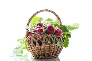 fresh natural organic ripe radish in basket