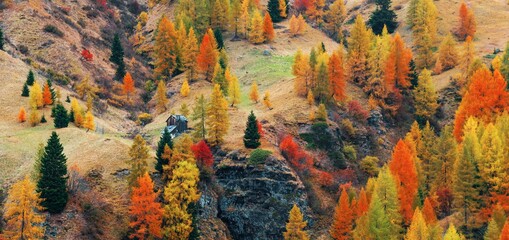 Dolomites Autumn foliage