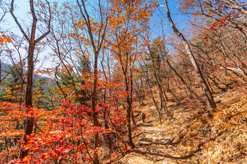 Seoraksan National Park in Autumn, Gangwon, South Korea
