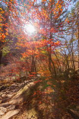 Fototapeta premium Seoraksan National Park in Autumn, Gangwon, South Korea