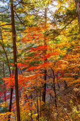 Seoraksan National Park in Autumn, Gangwon, South Korea