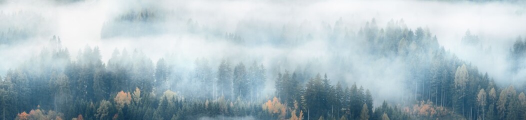 Dolomites fog valley