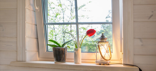 White window with mosquito net in a rustic wooden house overlooking blooming spring garden, pine...