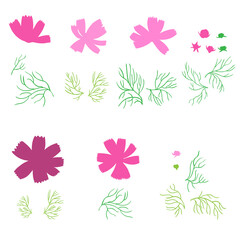 Decorative botanical silhouette set Kosmos flower, Kosmeya hand drawn colorful illustration, wild flower astra, floral design for greeting card, wedding invite, element pattern, cosmetic packaging