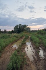 countryside road with mud and puddles. ground path for off road vehicles and cars