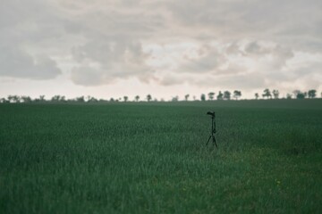 taking wildlife pictures in the field. camera on tripod, no man on the meadow