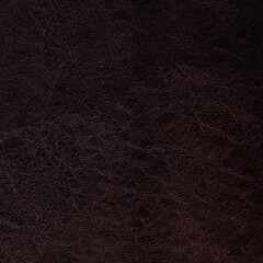 brown skin fogment, close-up texture