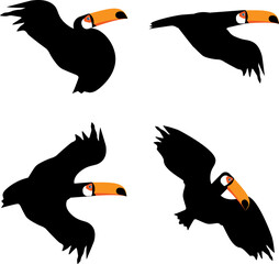 Exotic Toco Toucan tucano bird vector illustration. Simple clipart  design of jungle bird with a big beak.
