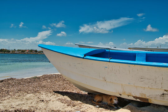 canoa spm 3