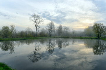 Early foggy morning at the pond. Reflection of trees in the water. Spring morning.