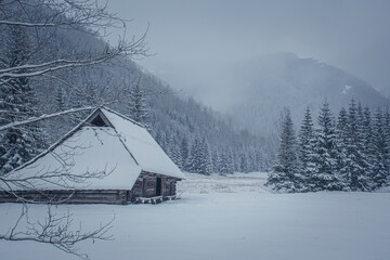 Old wooden chalet in Jaworzynka Valley, Western Tatra Mountains, Poland. Snowy hills and coniferous trees in the national park. Selective focus on the building, blurred background.