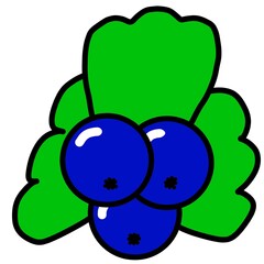 picture of a berry